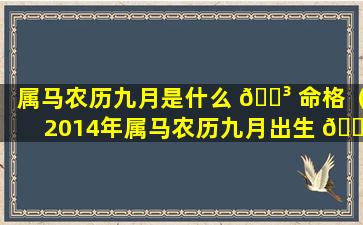 属马农历九月是什么 🌳 命格（2014年属马农历九月出生 💐 是什么命）